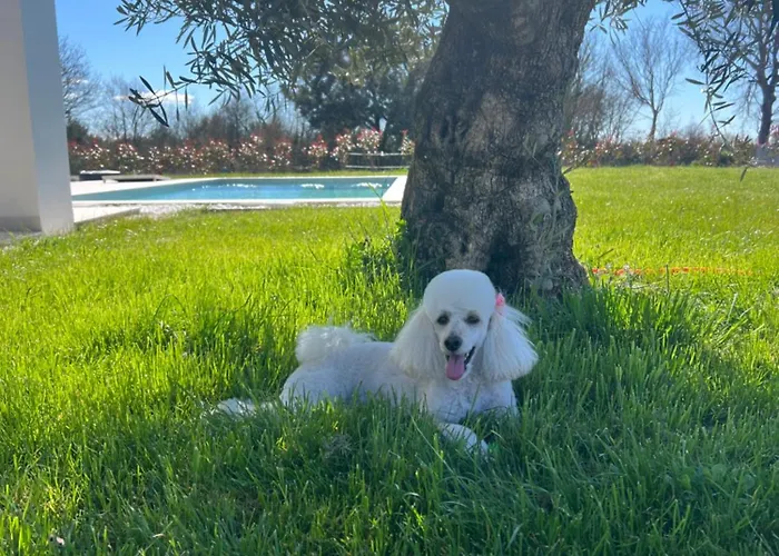 Villa You&me Smoljanci